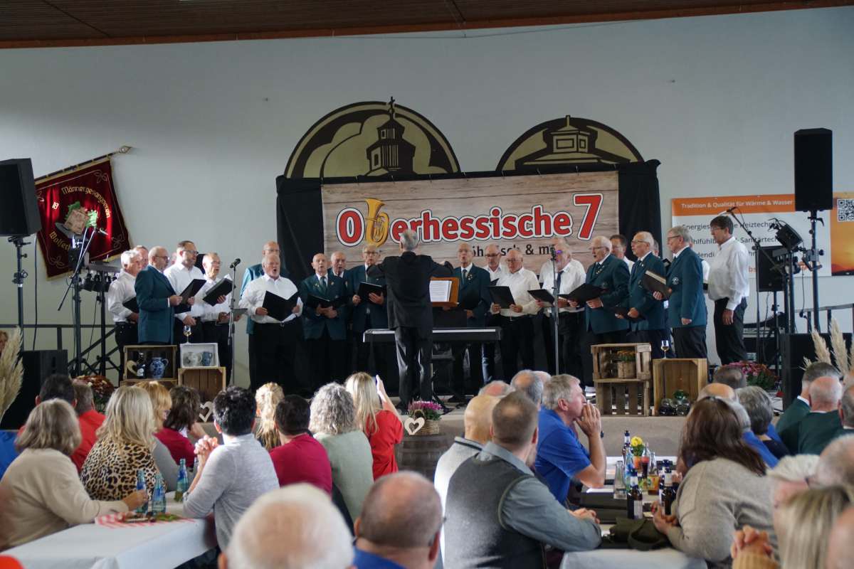 Auftritt des Männerchors Wolferborn